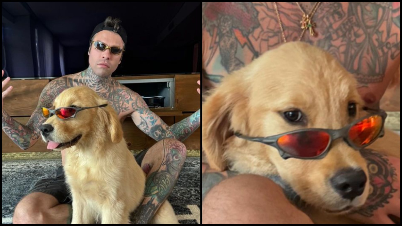 Fedez torna sui social con un cane sosia di Paloma