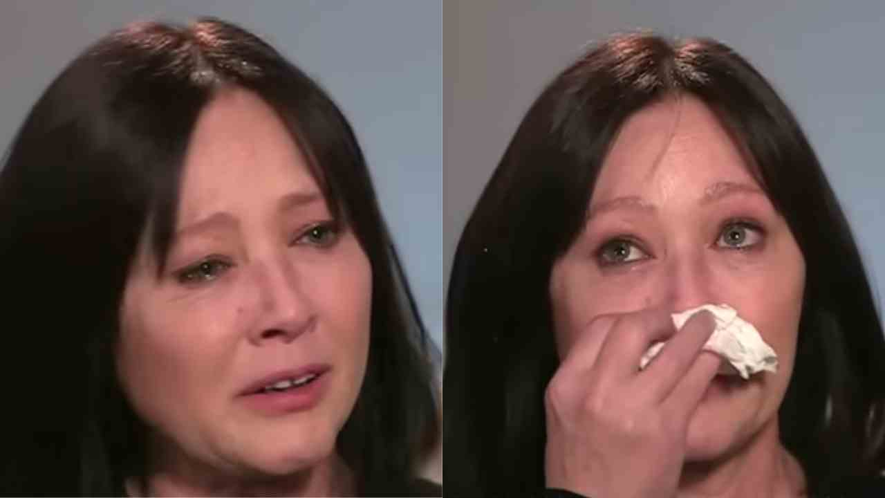 Shannen Doherty divorzio